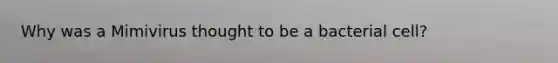 Why was a Mimivirus thought to be a bacterial cell?