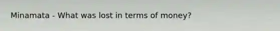 Minamata - What was lost in terms of money?