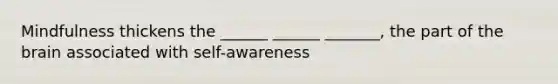 Mindfulness thickens the ______ ______ _______, the part of the brain associated with self-awareness