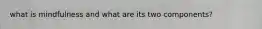 what is mindfulness and what are its two components?