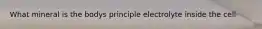 What mineral is the bodys principle electrolyte inside the cell