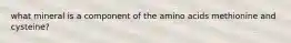 what mineral is a component of the amino acids methionine and cysteine?