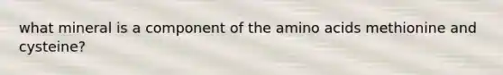 what mineral is a component of the amino acids methionine and cysteine?