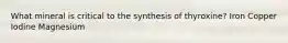 What mineral is critical to the synthesis of thyroxine? Iron Copper Iodine Magnesium
