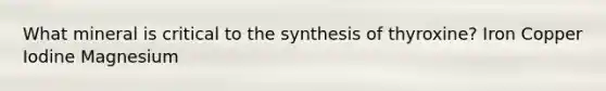 What mineral is critical to the synthesis of thyroxine? Iron Copper Iodine Magnesium