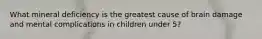 What mineral deficiency is the greatest cause of brain damage and mental complications in children under 5?