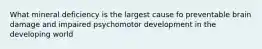 What mineral deficiency is the largest cause fo preventable brain damage and impaired psychomotor development in the developing world