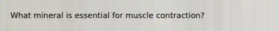 What mineral is essential for muscle contraction?