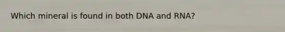 Which mineral is found in both DNA and RNA?