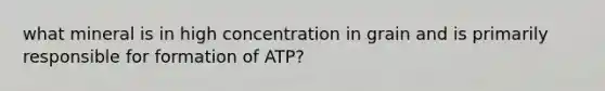 what mineral is in high concentration in grain and is primarily responsible for formation of ATP?