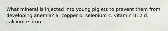 What mineral is injected into young piglets to prevent them from developing anemia? a. copper b. selenium c. vitamin B12 d. calcium e. iron