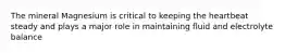 The mineral Magnesium is critical to keeping the heartbeat steady and plays a major role in maintaining fluid and electrolyte balance