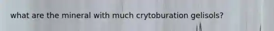 what are the mineral with much crytoburation gelisols?