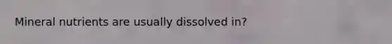 Mineral nutrients are usually dissolved in?