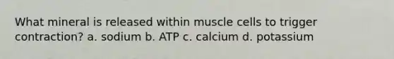 What mineral is released within muscle cells to trigger contraction? a. sodium b. ATP c. calcium d. potassium