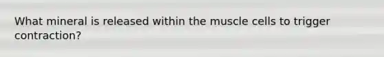 What mineral is released within the muscle cells to trigger contraction?