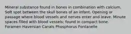 Mineral substance found in bones in combination with calcium. Soft spot between the skull bones of an infant. Opening or passage where blood vessels and nerves enter and leave. Minute spaces filled with blood vessels; found in compact bone. Foramen Haversian Canals Phosphorus Fontanelle