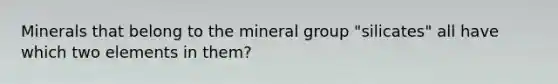 Minerals that belong to the mineral group "silicates" all have which two elements in them?