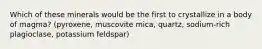 Which of these minerals would be the first to crystallize in a body of magma? (pyroxene, muscovite mica, quartz, sodium-rich plagioclase, potassium feldspar)