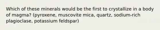 Which of these minerals would be the first to crystallize in a body of magma? (pyroxene, muscovite mica, quartz, sodium-rich plagioclase, potassium feldspar)