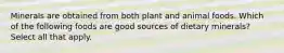 Minerals are obtained from both plant and animal foods. Which of the following foods are good sources of dietary minerals? Select all that apply.