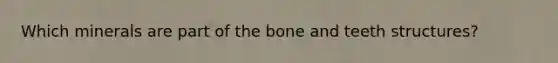 Which minerals are part of the bone and teeth structures?