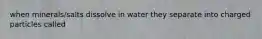 when minerals/salts dissolve in water they separate into charged particles called