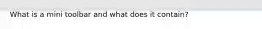 What is a mini toolbar and what does it contain?