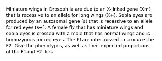 Miniature wings in Drosophila are due to an X-linked gene (Xm) that is recessive to an allele for long wings (X+). Sepia eyes are produced by an autosomal gene (s) that is recessive to an allele for red eyes (s+). A female fly that has miniature wings and sepia eyes is crossed with a male that has normal wings and is homozygous for red eyes. The F1are intercrossed to produce the F2. Give the phenotypes, as well as their expected proportions, of the F1and F2 flies.