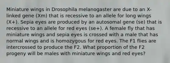 Miniature wings in Drosophila melanogaster are due to an X-linked gene (Xm) that is recessive to an allele for long wings (X+). Sepia eyes are produced by an autosomal gene (se) that is recessive to an allele for red eyes (se+). A female fly that has miniature wings and sepia eyes is crossed with a male that has normal wings and is homozygous for red eyes. The F1 flies are intercrossed to produce the F2. What proportion of the F2 progeny will be males with miniature wings and red eyes?