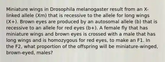 Miniature wings in Drosophila melanogaster result from an X-linked allele (Xm) that is recessive to the allele for long wings (X+). Brown eyes are produced by an autosomal allele (b) that is recessive to an allele for red eyes (b+). A female fly that has miniature wings and brown eyes is crossed with a male that has long wings and is homozygous for red eyes, to make an F1. In the F2, what proportion of the offspring will be miniature-winged, brown-eyed, males?