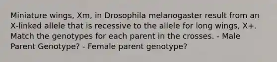 Miniature wings, Xm, in Drosophila melanogaster result from an X‑linked allele that is recessive to the allele for long wings, X+. Match the genotypes for each parent in the crosses. - Male Parent Genotype? - Female parent genotype?