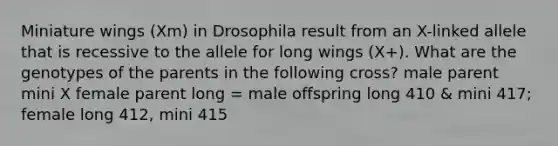 Miniature wings (Xm) in Drosophila result from an X-linked allele that is recessive to the allele for long wings (X+). What are the genotypes of the parents in the following cross? male parent mini X female parent long = male offspring long 410 & mini 417; female long 412, mini 415