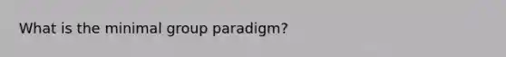 What is the minimal group paradigm?