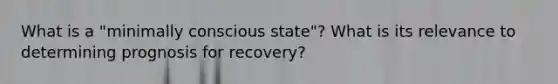 What is a "minimally conscious state"? What is its relevance to determining prognosis for recovery?