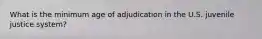 What is the minimum age of adjudication in the U.S. juvenile justice system?