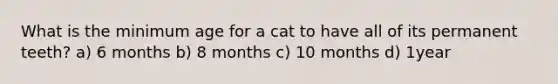 What is the minimum age for a cat to have all of its permanent teeth? a) 6 months b) 8 months c) 10 months d) 1year