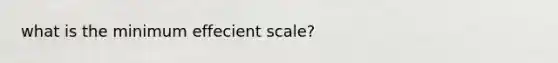 what is the minimum effecient scale?