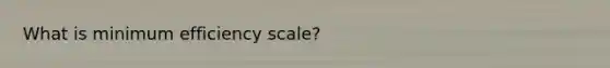 What is minimum efficiency scale?