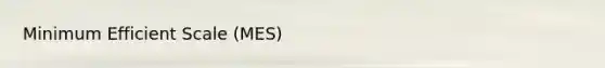 Minimum Efficient Scale (MES)