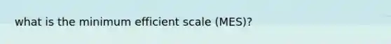 what is the minimum efficient scale (MES)?