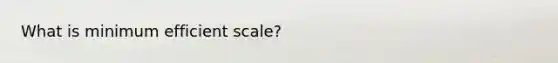 What is minimum efficient​ scale?