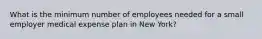 What is the minimum number of employees needed for a small employer medical expense plan in New York?