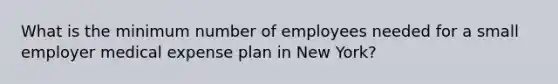 What is the minimum number of employees needed for a small employer medical expense plan in New York?