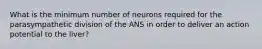 What is the minimum number of neurons required for the parasympathetic division of the ANS in order to deliver an action potential to the liver?