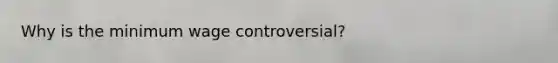 Why is the minimum wage controversial?