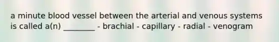 a minute blood vessel between the arterial and venous systems is called a(n) ________ - brachial - capillary - radial - venogram