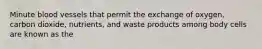 Minute blood vessels that permit the exchange of oxygen, carbon dioxide, nutrients, and waste products among body cells are known as the