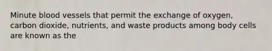 Minute blood vessels that permit the exchange of oxygen, carbon dioxide, nutrients, and waste products among body cells are known as the