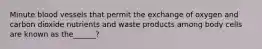 Minute blood vessels that permit the exchange of oxygen and carbon dioxide nutrients and waste products among body cells are known as the______?